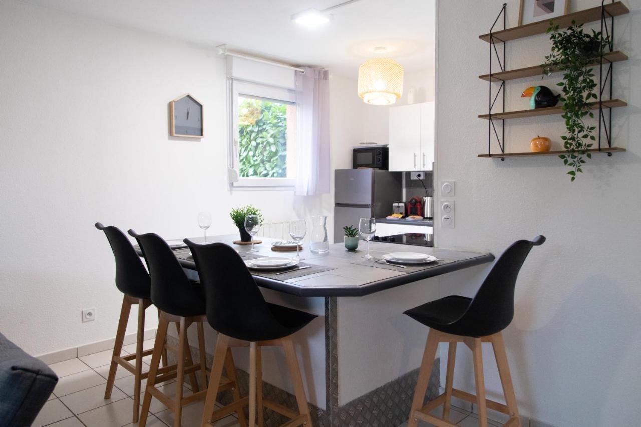 My Cozy Flat Blagnac - T2 - Free Parking - Terrasse - Jardin Διαμέρισμα Εξωτερικό φωτογραφία